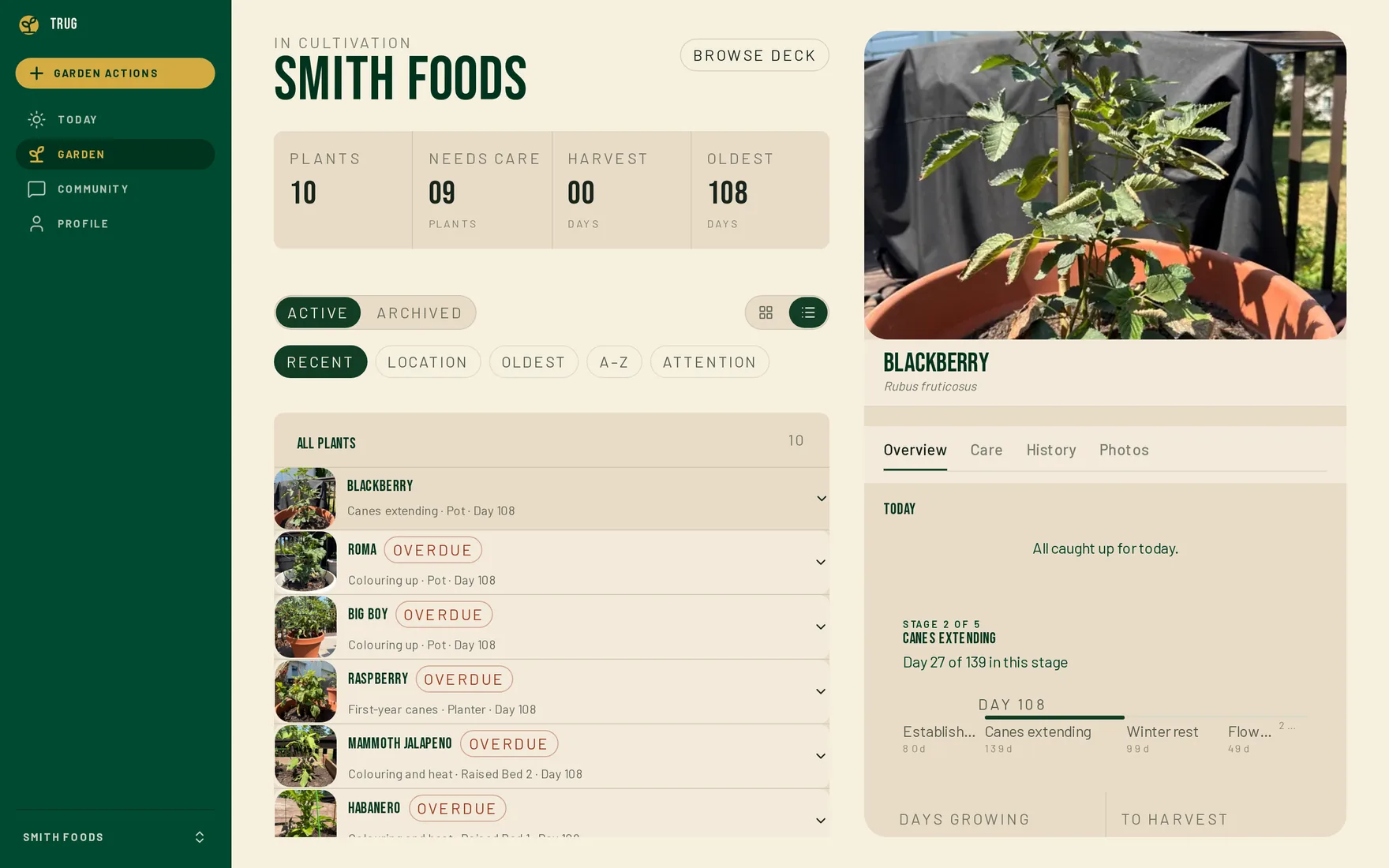 The Trug garden screen on desktop: a list of ten plants with growth stages beside a blackberry file showing its photo, stage timeline and today's tasks.